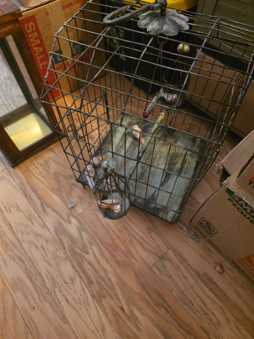 Fake Bird, Bird Cage