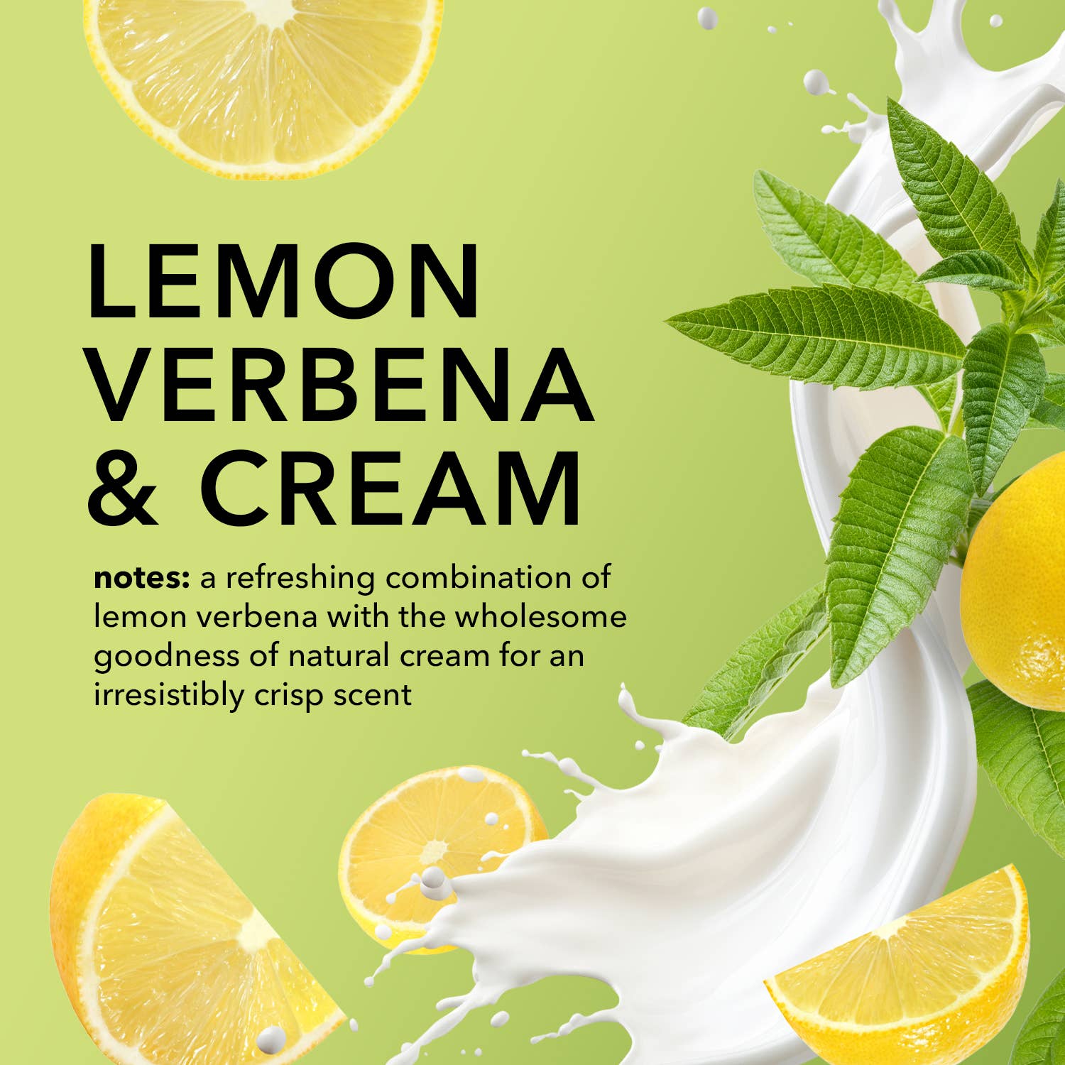 Dionis Verbena & Cream Goat Milk Body Lotion